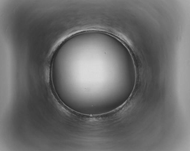 X0000112151504200908141204