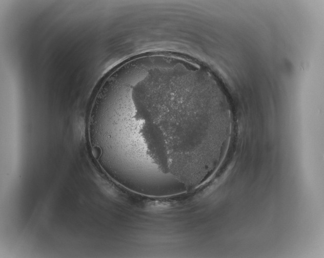 X0000112151505200908141204