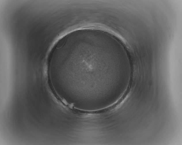 X0000112151506200908141204