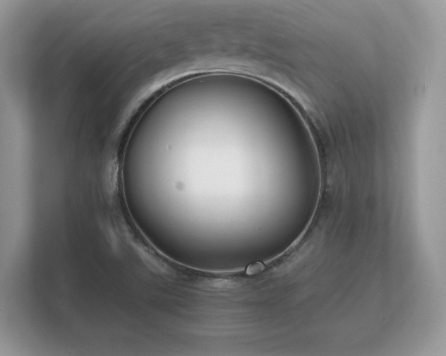 X0000112151507200908141204