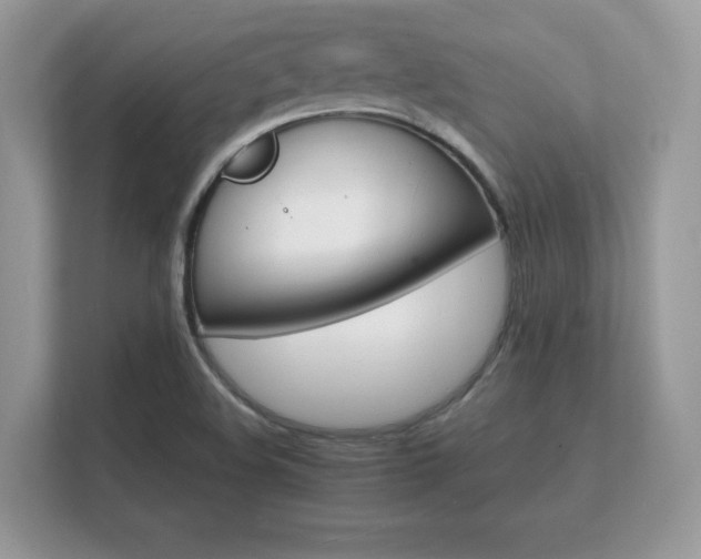 X0000112151508200908141204