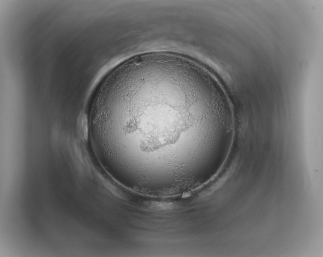 X0000112151509200908141204