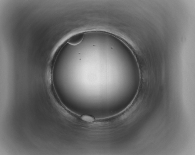 X0000112151510200908141204