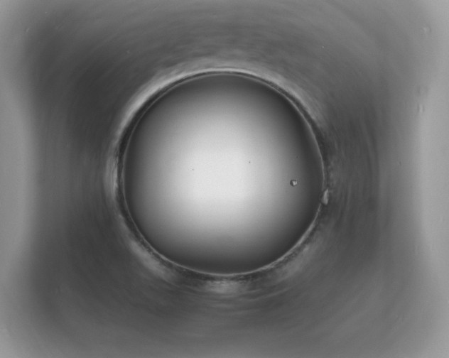 X0000112151511200908141204