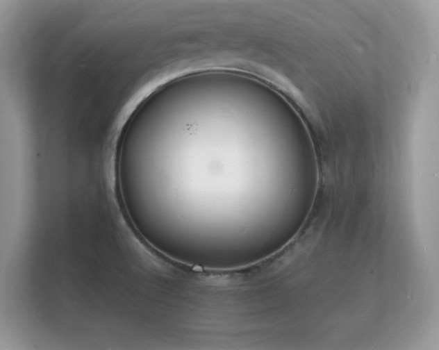 X0000112151512200908141204