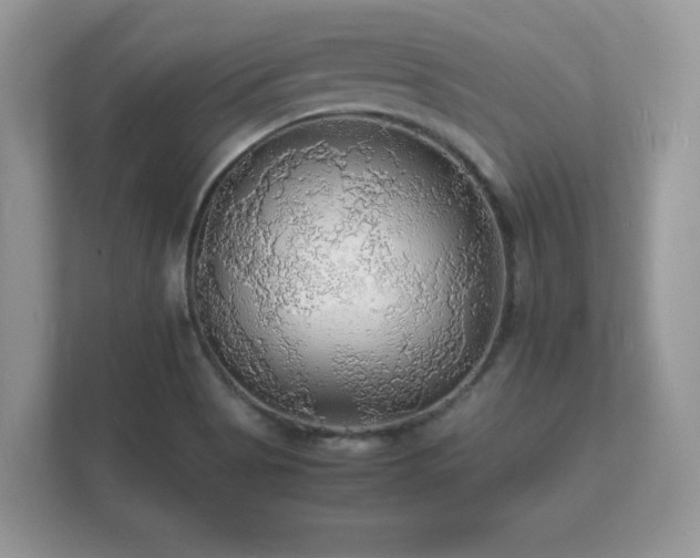 X0000112151513200908141204
