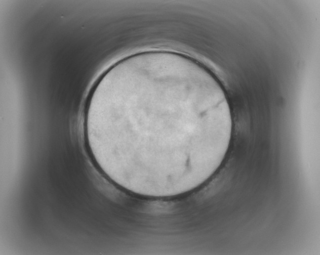 X0000112151514200908141204