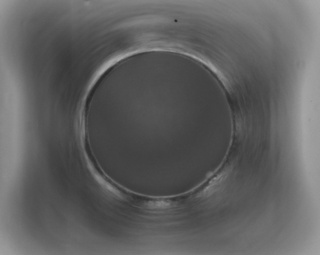 X0000112151515200908141204