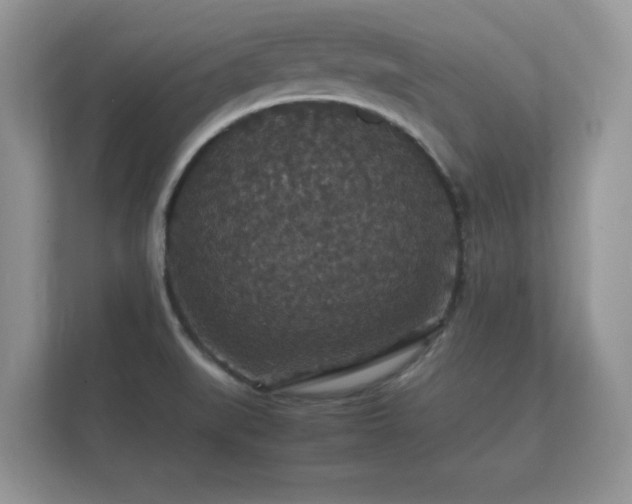 X0000112151519200908141204