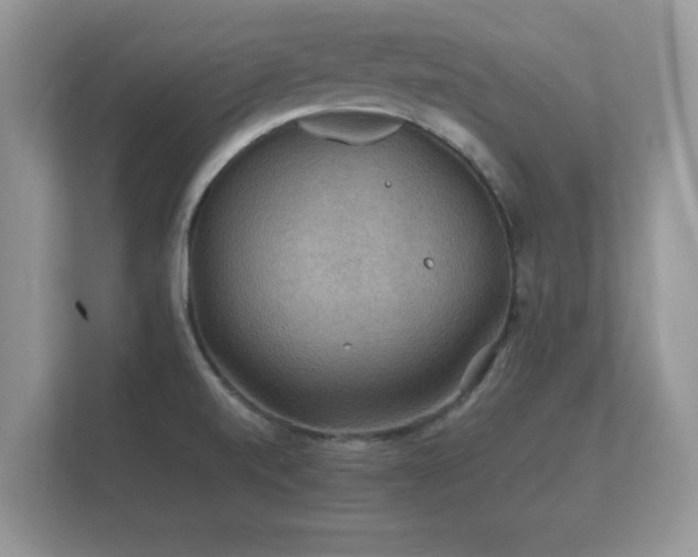 X0000112151520200908141204