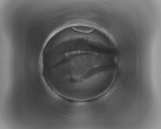 X0000112151522200908141204