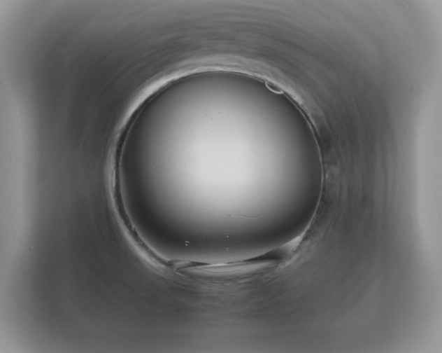 X0000112151523200908141204