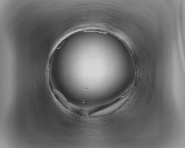 X0000112151524200908141204
