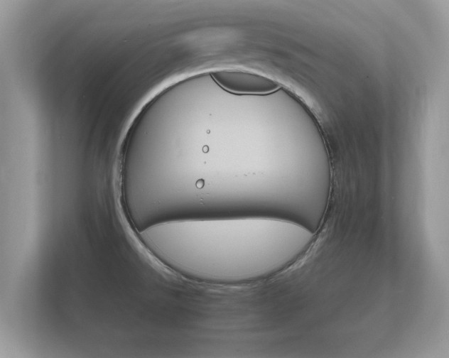X0000112151526200908141204