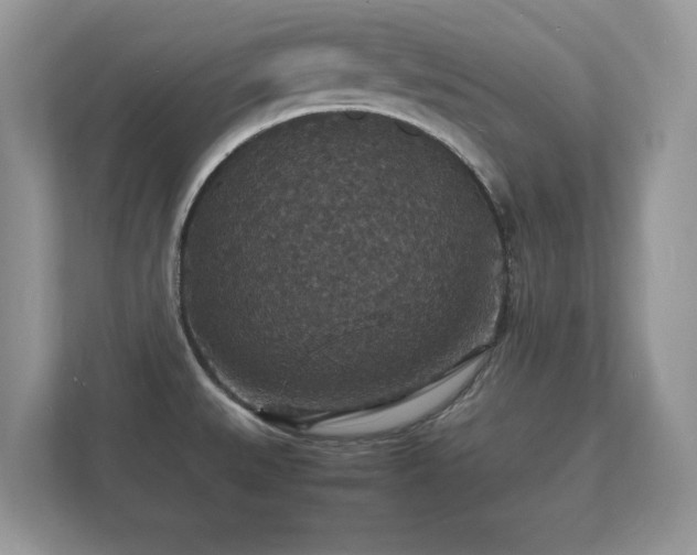 X0000112151527200908141204