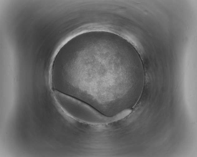 X0000112151528200908141204