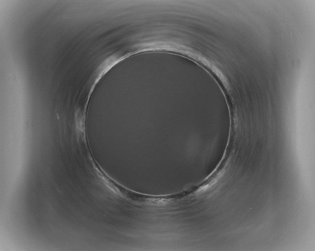 X0000112151529200908141204