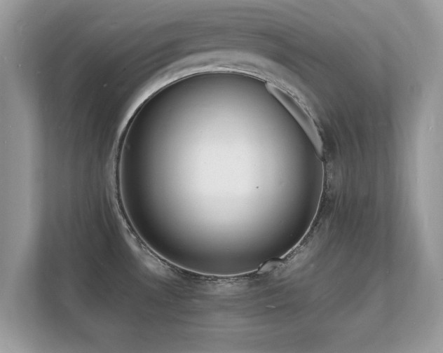 X0000112151530200908141204