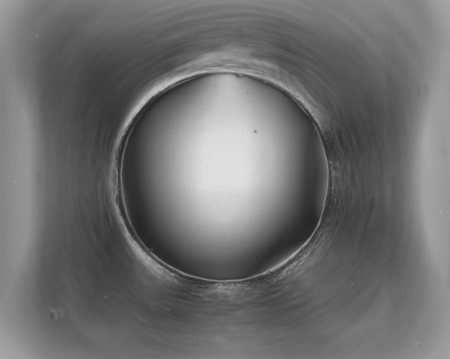 X0000112151531200908141204