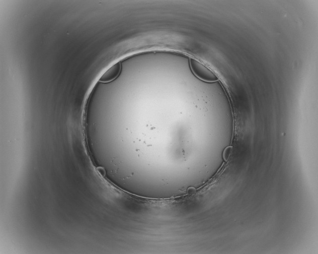 X0000112151532200908141204