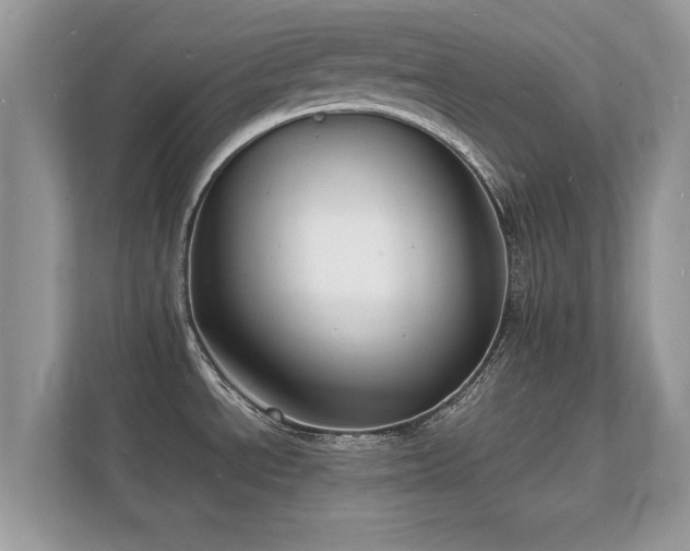X0000112151534200908141204