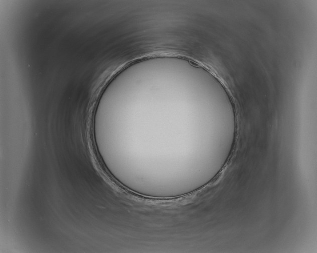 X0000112150001200908211423