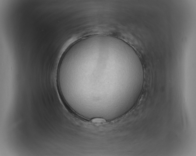 X0000112150003200908211423