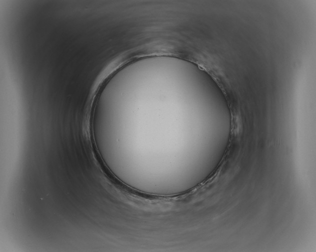 X0000112150004200908211423