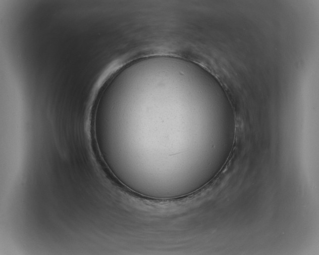 X0000112150006200908211423