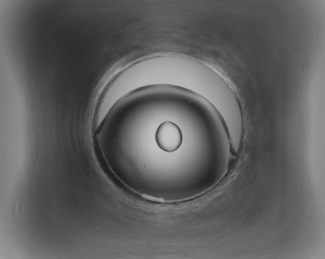 X0000112150007200908211423
