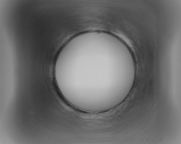 X0000112150009200908211423