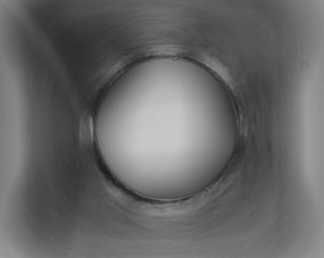 X0000112150013200908211423