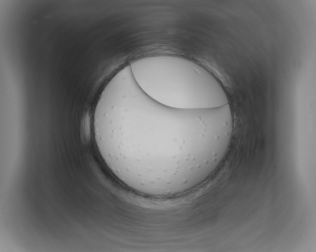 X0000112150014200908211423