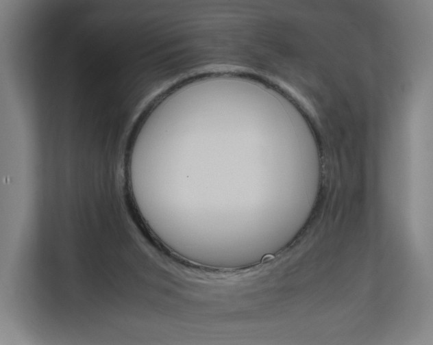 X0000112150015200908211423