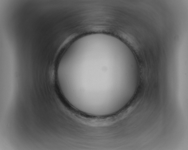 X0000112150016200908211423