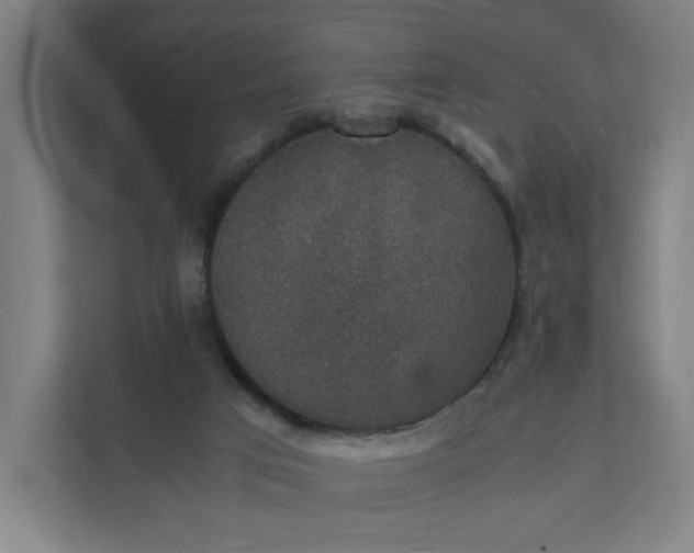 X0000112150017200908211423