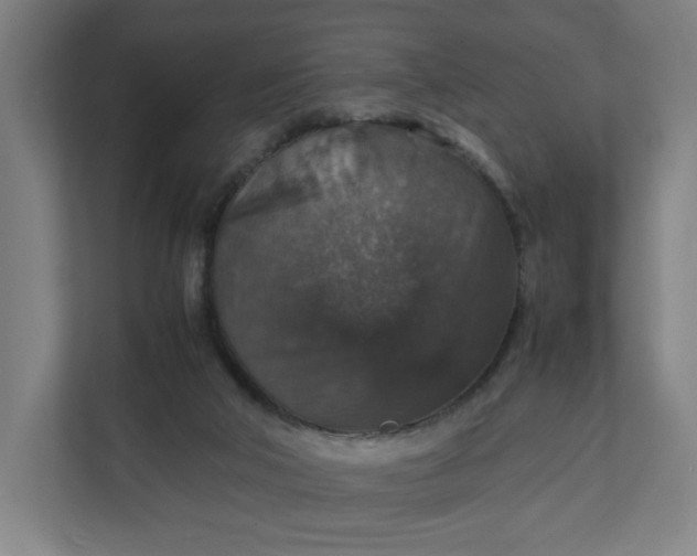 X0000112150018200908211423
