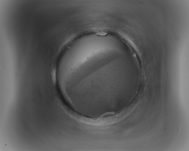 X0000112150019200908211423