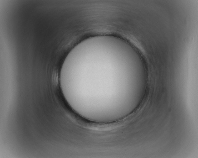 X0000112150021200908211423