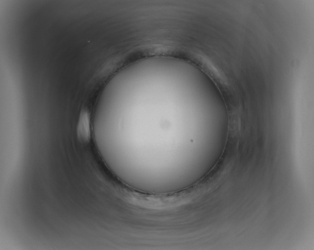 X0000112150022200908211423