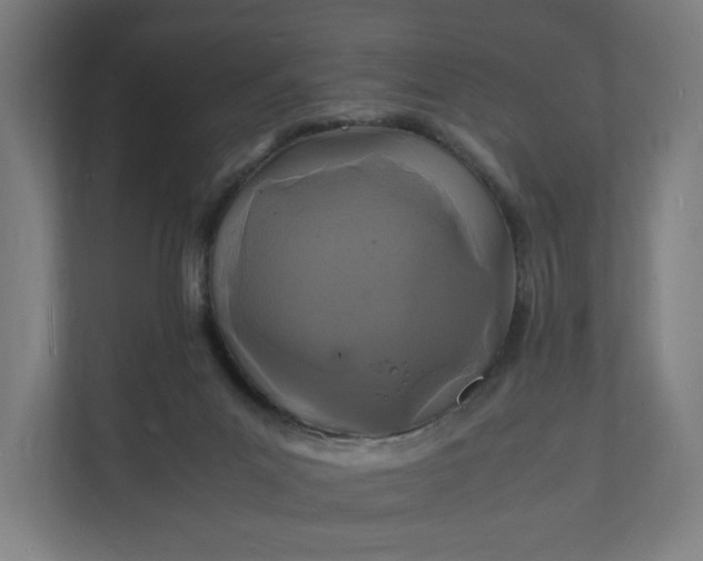 X0000112150023200908211423