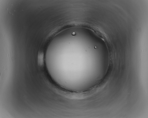 X0000112150024200908211423
