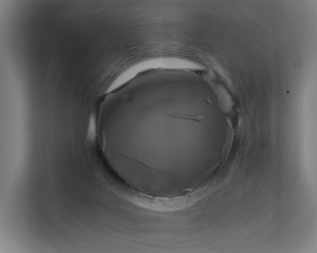 X0000112150027200908211423