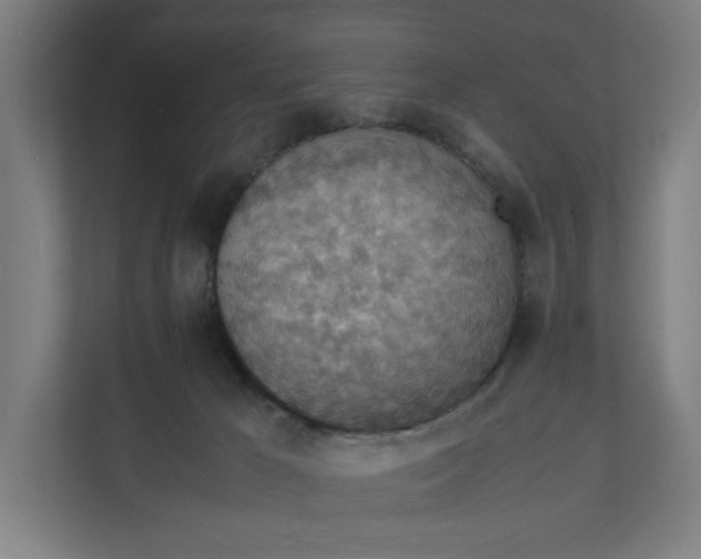 X0000112150029200908211423