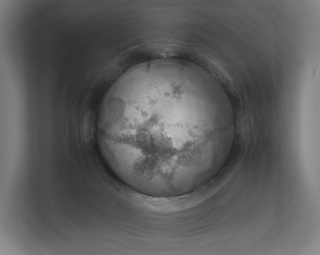 X0000112150030200908211423