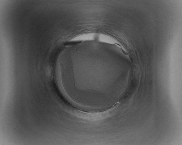X0000112150031200908211423