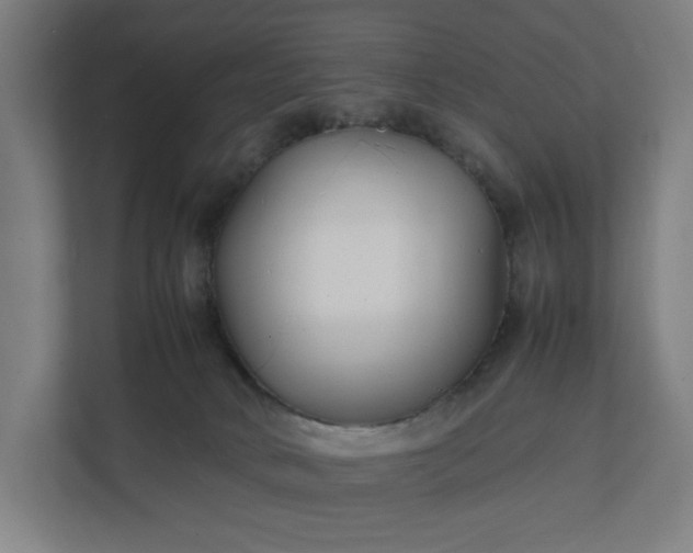 X0000112150034200908211423