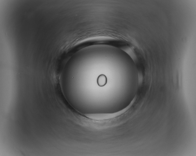 X0000112150039200908211423