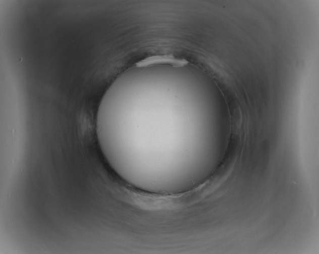 X0000112150040200908211423