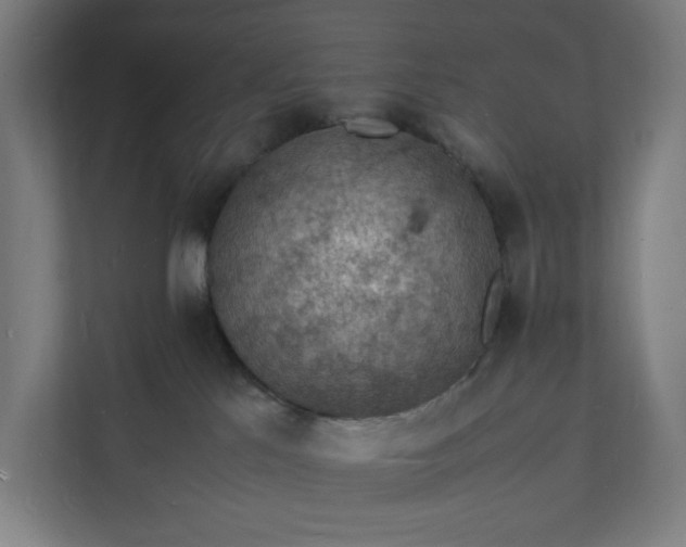 X0000112150041200908211423